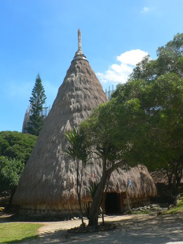 38- Une maison tribale canaque 
